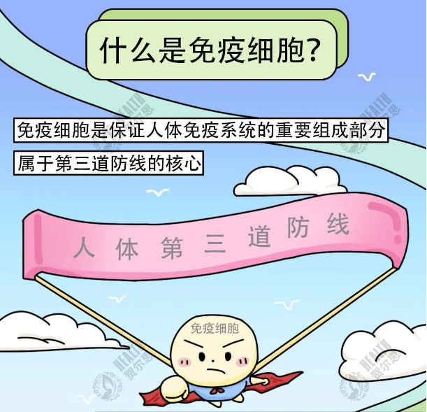 神奇細胞（條漫）什么是免疫細胞？如何儲存？